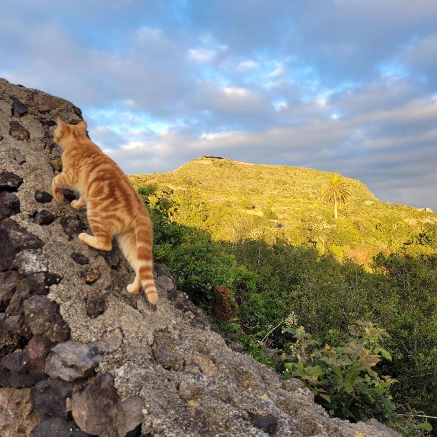 Finca El Lance El Tanque Zewnętrze zdjęcie